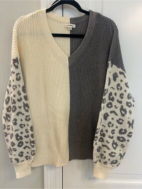 eesome Two-Tone V-Neck Sweater with Leopard Balloon Sleeves - Cream & Gray